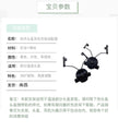 ba525335-5c54-4506-98c6-90486b571735