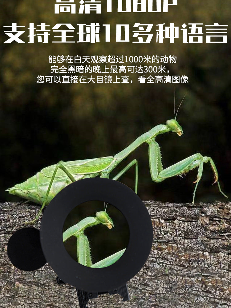 e4a10e9b-b0ea-4afc-ae5a-7b3d4ed8a29c