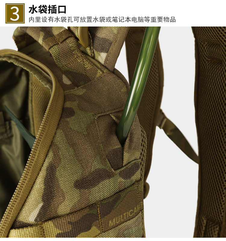 ffebecd0-f301-4f91-b27d-e527ca39437f