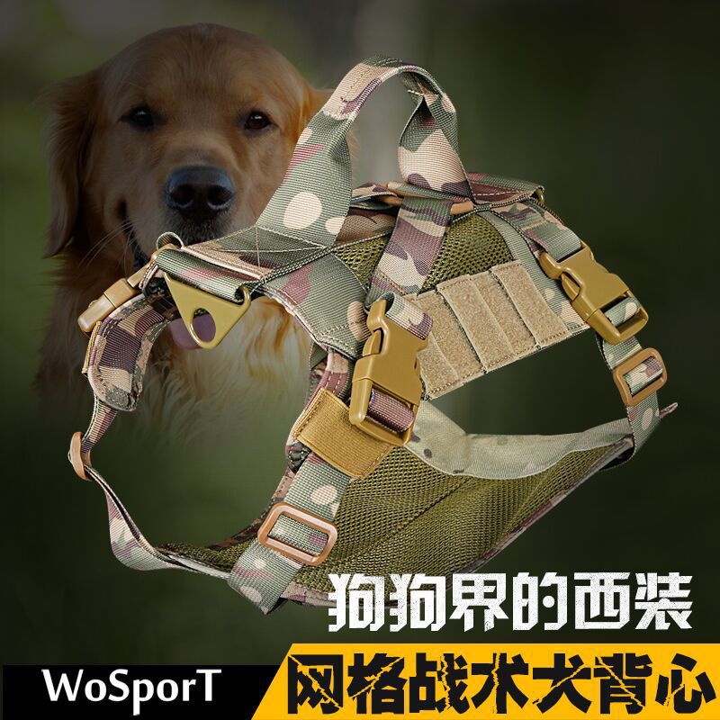 082b2509-540f-41e7-aa8d-15d079669b59