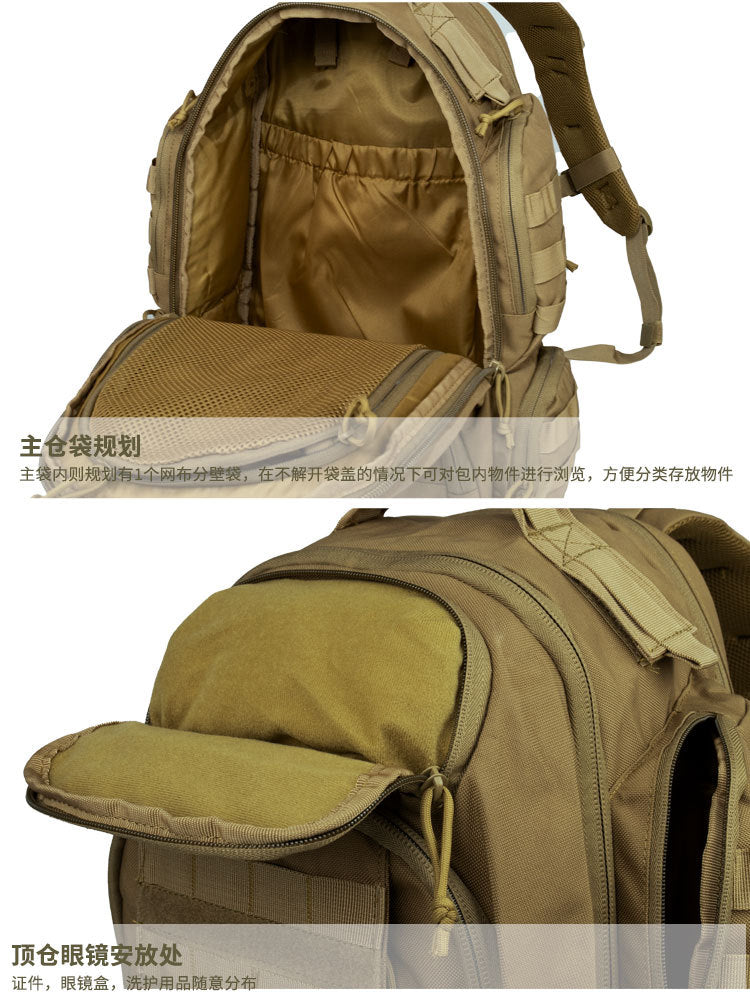 f8fc0f35-a36f-49ab-817e-f3ae39b658e4