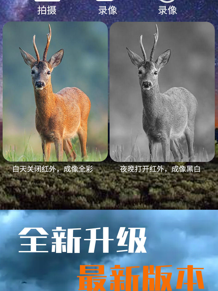 9f4d29f7-9c6b-4569-b437-36a62d3ce448