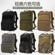 29dd380a-7be9-4885-92f7-3920660dbb36